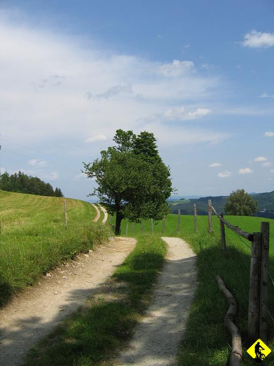 Karta1_ 117.jpg - a tak właśnie wyglądają owe szlaki, bajka magią pisana.